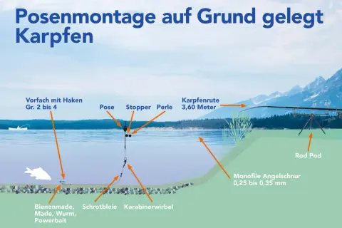 Schema einer Posenmontage für Karpfen: Pose, Schrotblei, Köder (Made, Wurm) und Karpfenrute am Ufer.