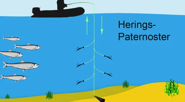 Illustration zeigt Heringsangeln mit Paternoster-System vor Rostock. Ein Boot mit Angler, Heringe schwimmen, das Paternoster mit Haken hängt im Wasser.
