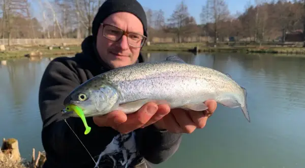 Glücklicher Angler hält frisch gefangene Forelle am Forellenteich. Der Fisch hat einen grellgrünen Köder im Maul.