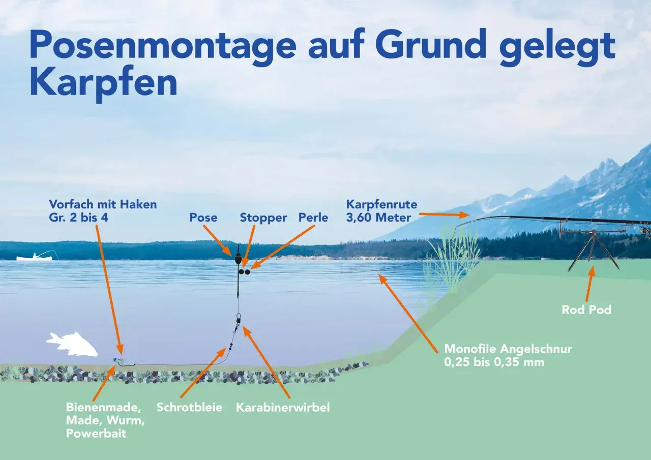 Illustration zeigt eine Posenmontage zum Grundangeln auf Karpfen. Die Montage beinhaltet Pose, Stopper, Perle, Schrotbleie und Köder wie Bienenmade.