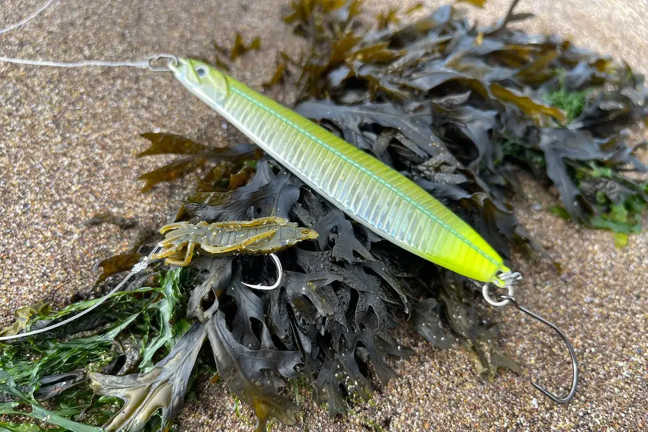 Wolfsbarsch angeln montage: ein gr&uuml;ner K&ouml;derfisch und ein Krebs-Gummik&ouml;der liegen auf Seetang am Strand.