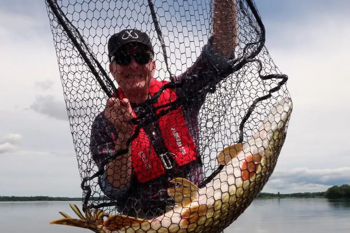 Glücklicher Angler mit einem großen Hecht im Kescher. Erfolgreicher Hecht landen am See.
