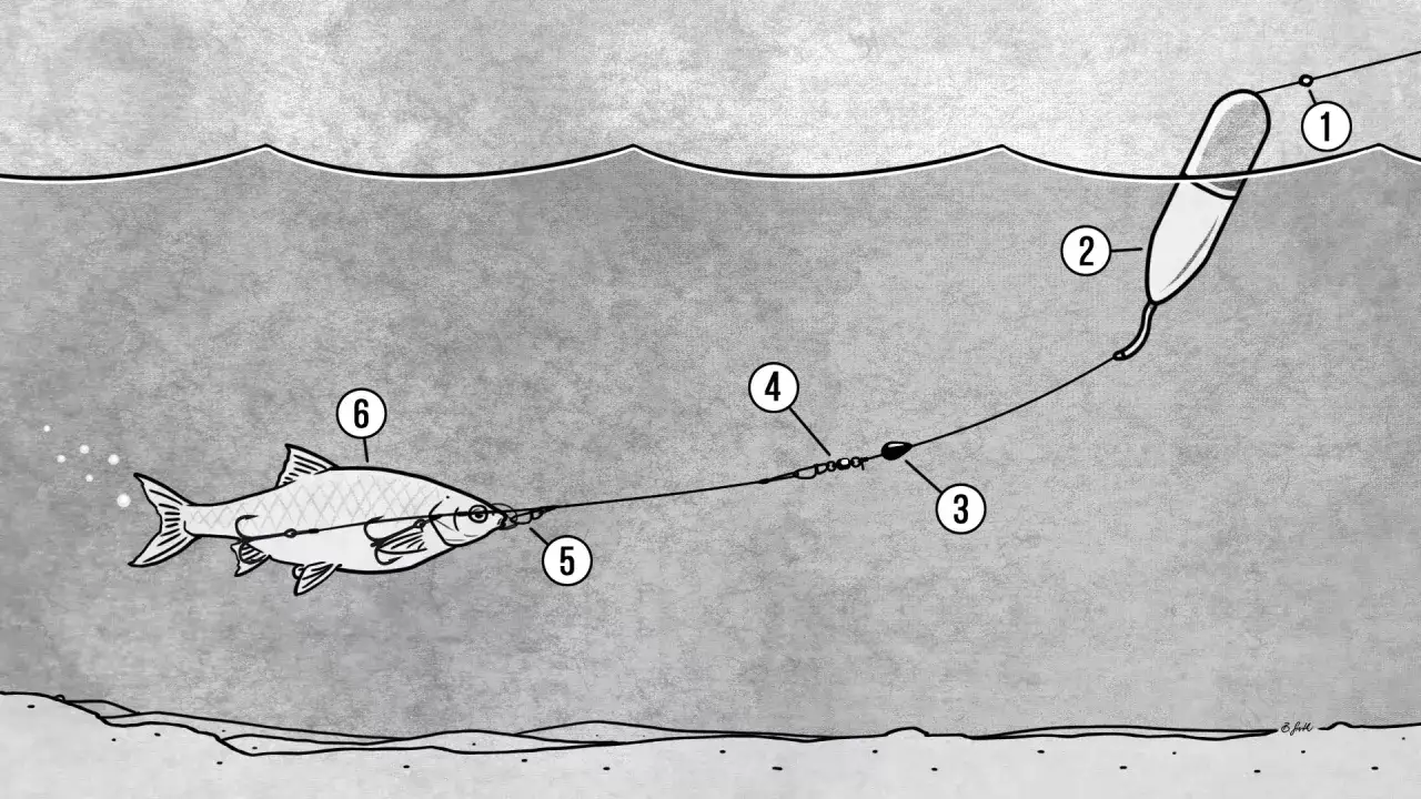 Ein Köderfisch (6) wird mit einer Pose (2) und einem Gewicht (3) präsentiert. Die Pose zeigt an, wie tief der Köder schwimmt, ideal für die Jagd auf Hecht.