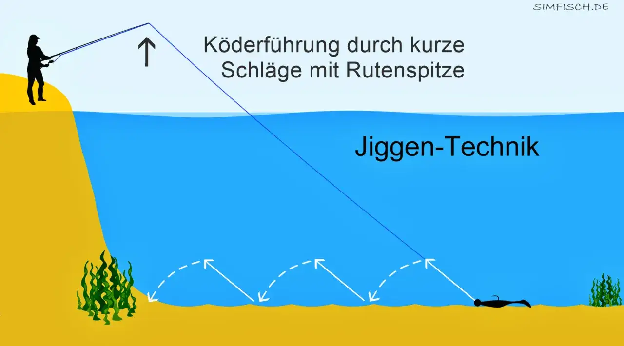Angler demonstriert die Zander Jiggen-Technik: K&ouml;derf&uuml;hrung durch kurze Schl&auml;ge mit der Rutenspitze am Gew&auml;ssergrund.