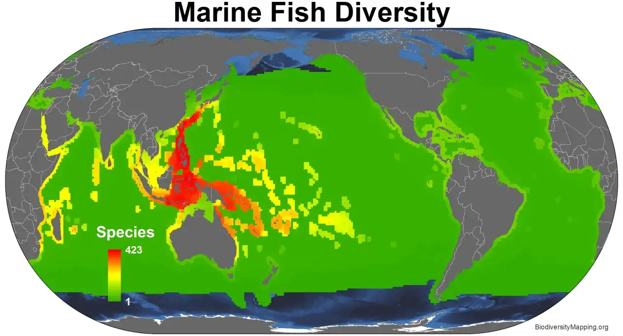 Karte zeigt die Vielfalt mariner Fischarten weltweit. Rote Gebiete, wie bei Indonesien, deuten auf die höchste Artenzahl hin, während grüne Gebiete weniger Artenvielfalt aufweisen.