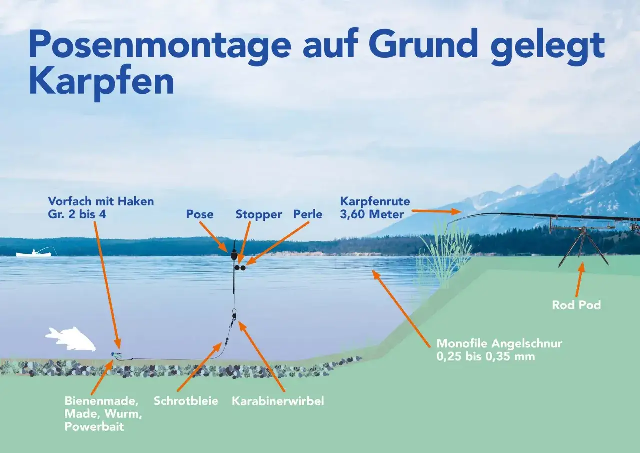 Schema einer Posenmontage auf Grund gelegt für Karpfen. Zeigt Pose, Schrotbleie, Köder und Karpfenrute.