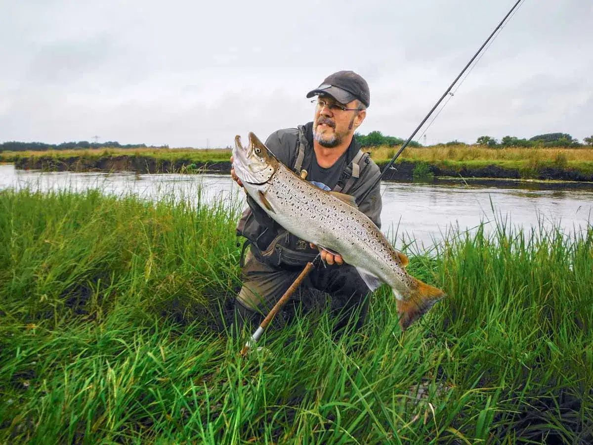 Erfolgreiches Limfjord angeln: Ein Angler präsentiert stolz einen stattlichen Fisch im Schilf.